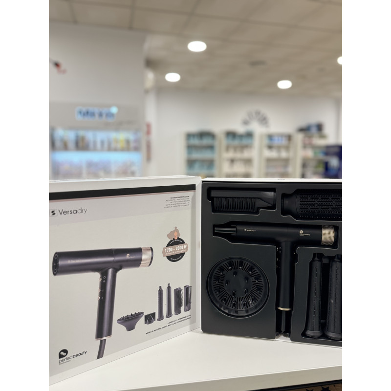 Secador profesional 6-1